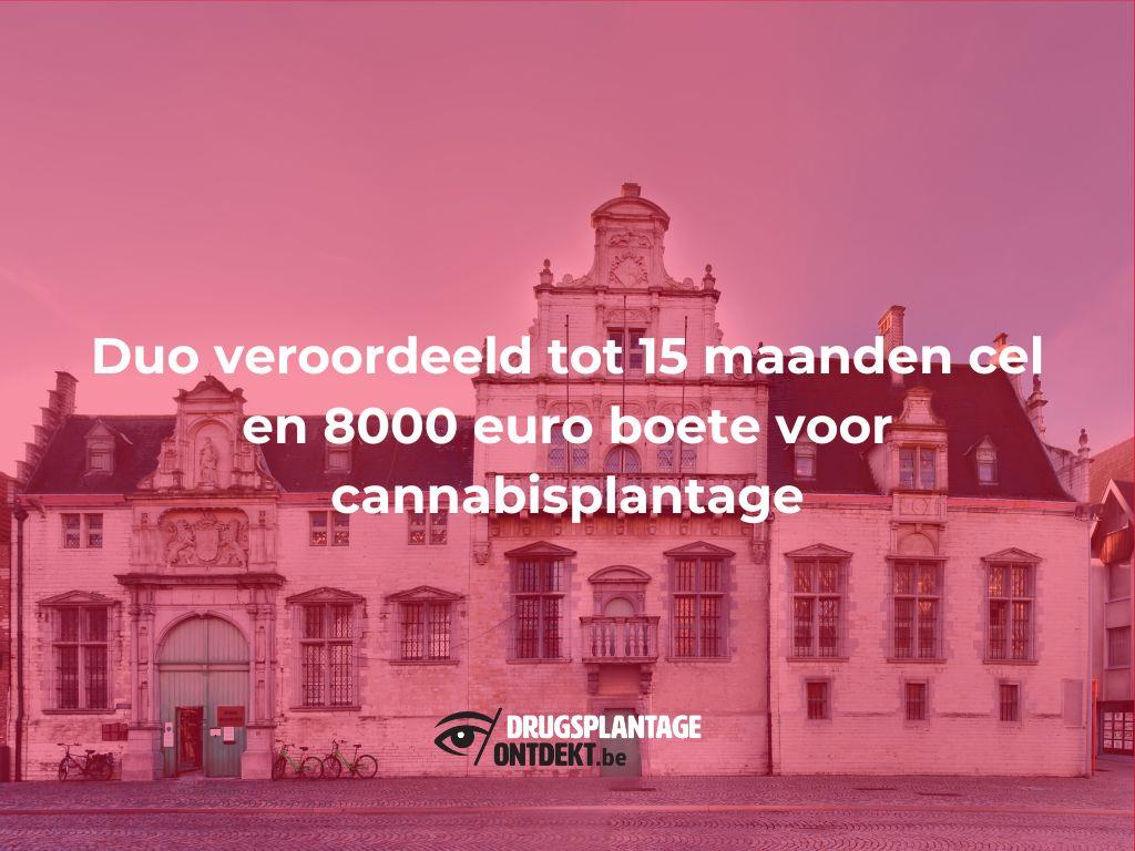 Mechelen - Duo veroordeeld tot 15 maanden cel en 8000 euro boete voor cannabisplantage